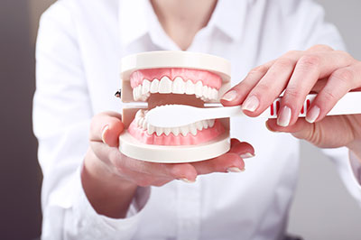 An individual s hand holding dental models with a focus on teeth alignment.